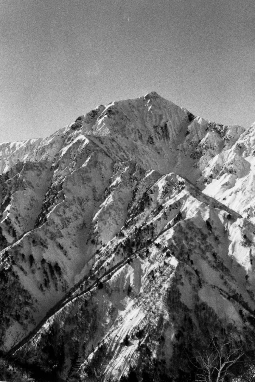 Hostel The Bohemians' Shelter Hakuba Exterior foto